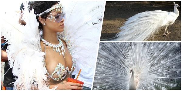 22. Роскошная 😧😧