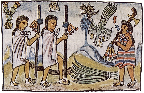 14. Считается, что ацтеки ежегодно приносили в жертву около 1% своего населения (где-то 250 тыс. человек).