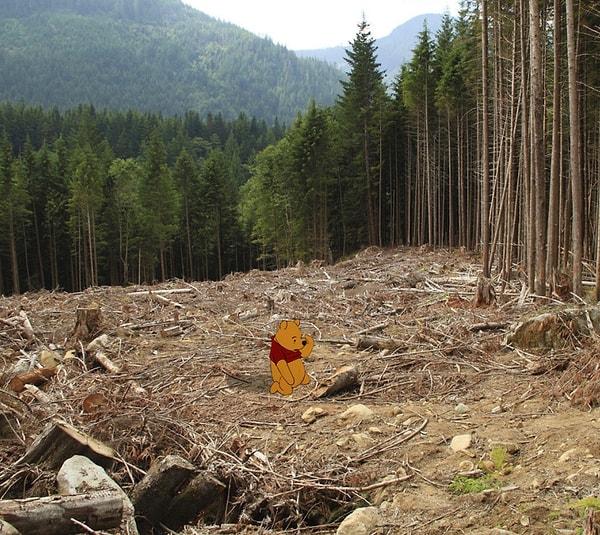 13. Kuraklaşan ormanda Pooh