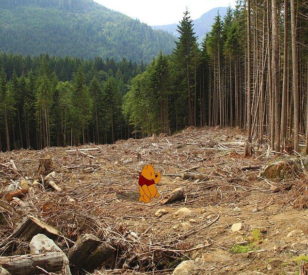 13. Kuraklaşan ormanda Pooh