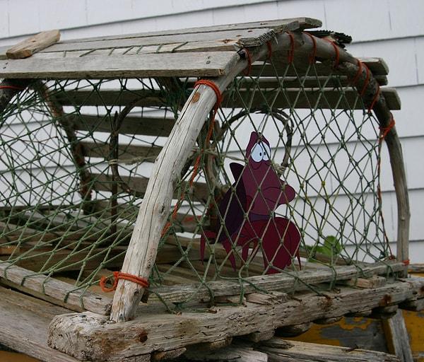 6. Balıkçıların ağına yakalanan Sebastian