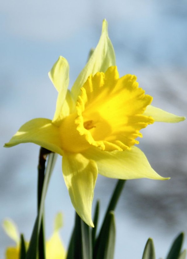 3. Буквы, цифры или слова меняют свои цвета время от времени (допустим один раз буква "П" - красная, другой раз вы ощущаете ее зеленой)?