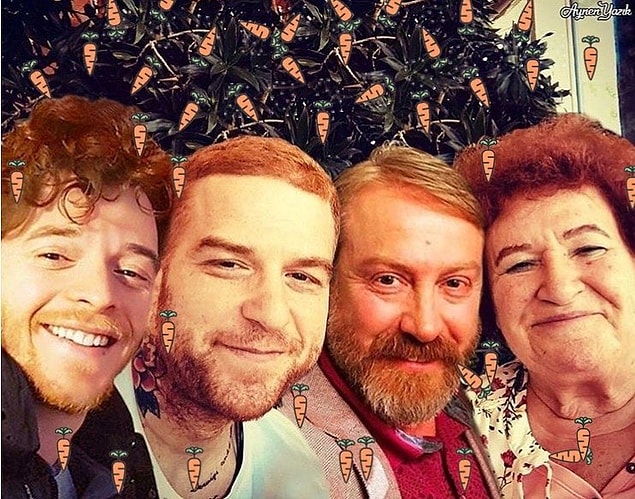 3. Havuçgiller.