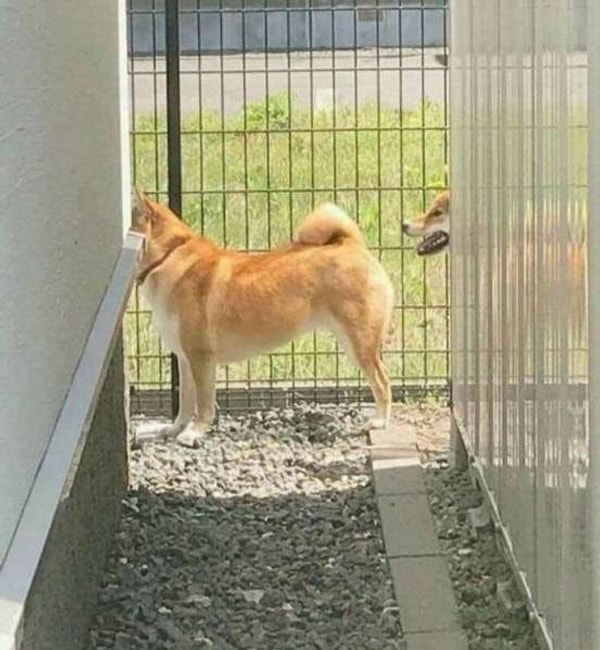 12. Сбой в матрице