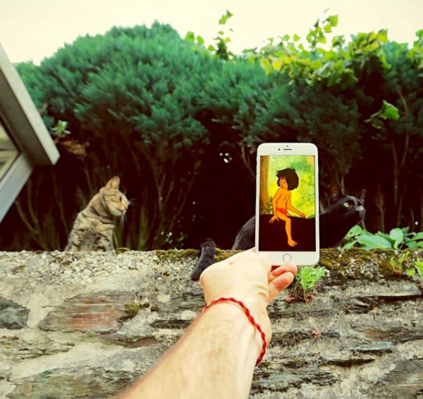 8. Поклонникам "Книги джунглей" посвящается ✌️