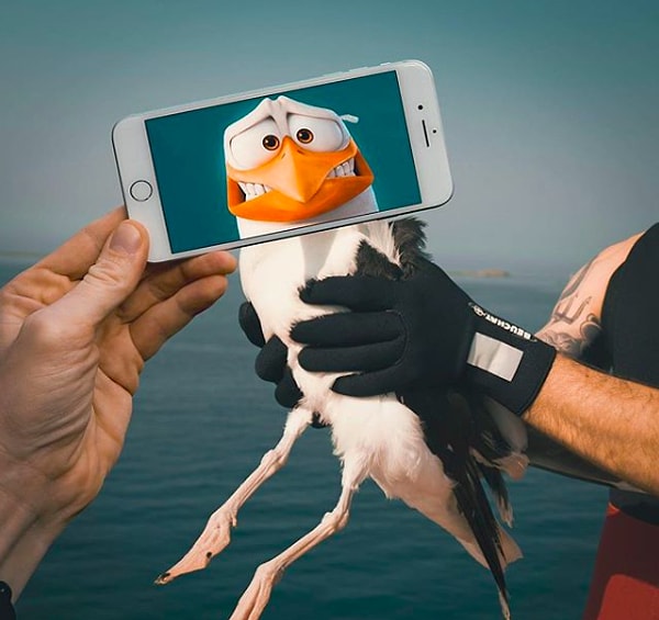 14. Кажется, он слишком напуган 😳