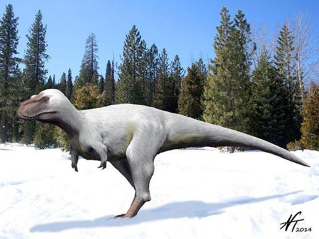 6. T.rex'in aşağı yukarı yarı büyüklüğünde olan 7 metrelik Nanuqsaurus. Kutup bölgelerinde yaşayan aktif bir avcıydı.