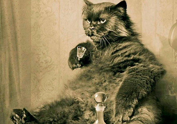 2. Какой алкоголь предпочитал Кот Бегемот из романа Булгакова «Мастер и Маргарита»?