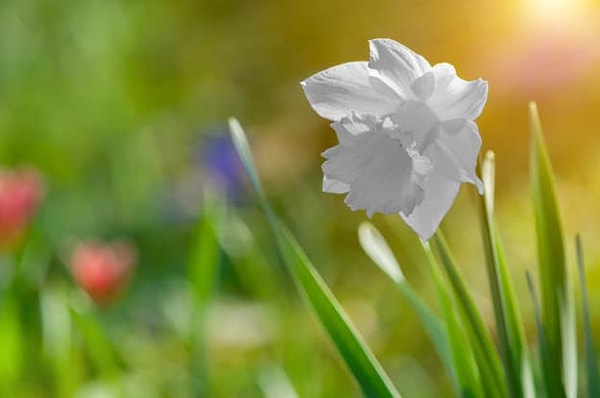 7. Выбираем: