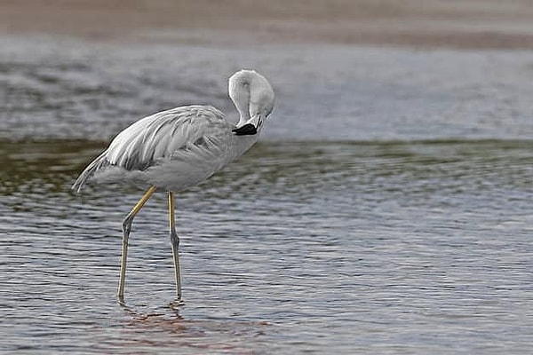 4. Что скажете?