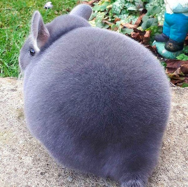 4. А теперь представьте, что вы берёте этот комочек в руки. Ну, как ощущения?