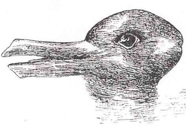 7. Кого вы увидели?