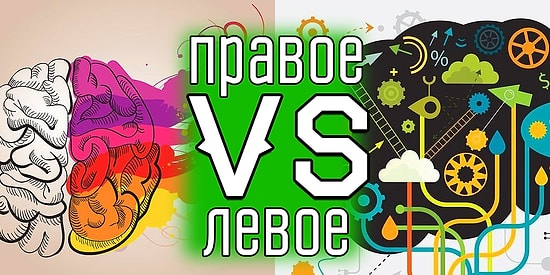 Тест: ответы на 9 вопросов помогут определить, какое полушарие мозга у вас доминирует