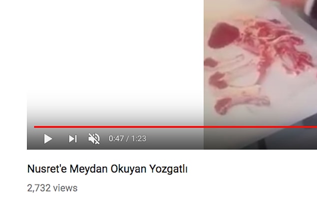 Ülkemizin dört bir yanından Nusret Gökçe'ye meydan okuyanlar...