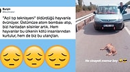 Bir Bitmediniz! Hayvanları Ezdikleri Yetmediği Gibi Bir de Bununla Övünüp Espri Konusu Yapan İnsanlar