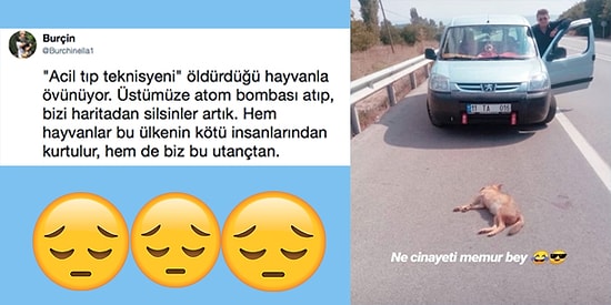 Bir Bitmediniz! Hayvanları Ezdikleri Yetmediği Gibi Bir de Bununla Övünüp Espri Konusu Yapan İnsanlar