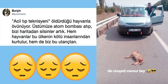 Bir Bitmediniz! Hayvanları Ezdikleri Yetmediği Gibi Bir de Bununla Övünüp Espri Konusu Yapan İnsanlar