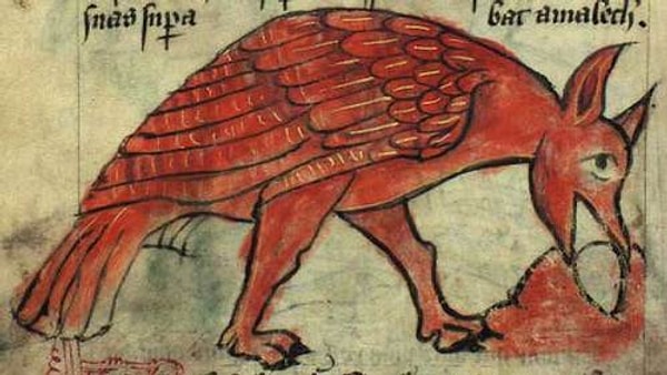 2. Что за пернатое существо?