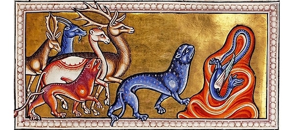 5. Ни за что не догадаетесь, что за животное в центре с синей шкурой.