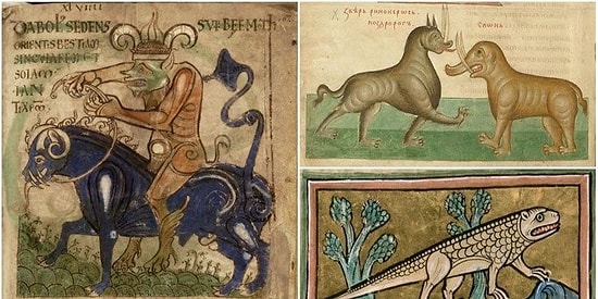Вот такой бестиарий: Догадайтесь, какое животное изображено на средневековых зоологических справочниках (сложный тест)
