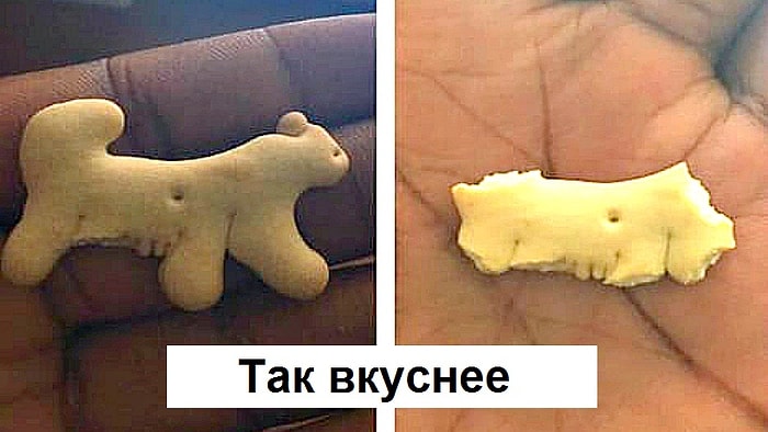 Необъяснимые факты о еде, с которыми невозможно не согласиться