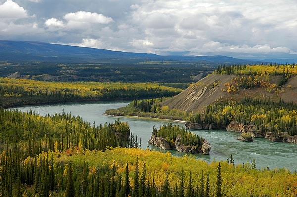 5. Через какую из этих стран протекает река Юкон?