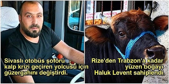 Türkiye’de Güzel Şeyler de Oluyor: Moralinizi Yerine Getirerek Sonbahara Tatlı Tatlı Girmenizi Sağlayacak 18 Olumlu Haber