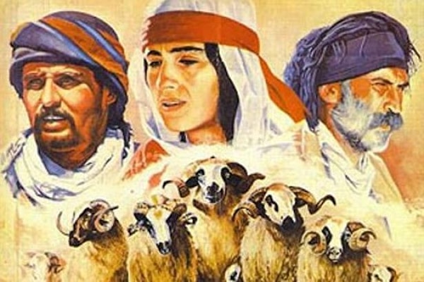 Sürü