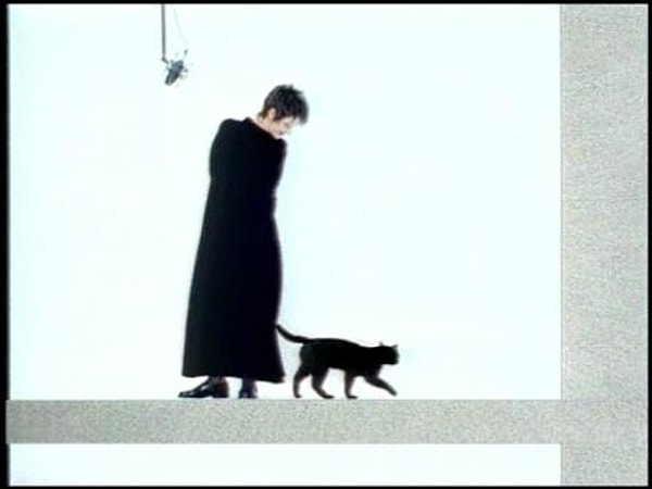 7. Клип на какую песню принес известность певице, которая ее исполняет?