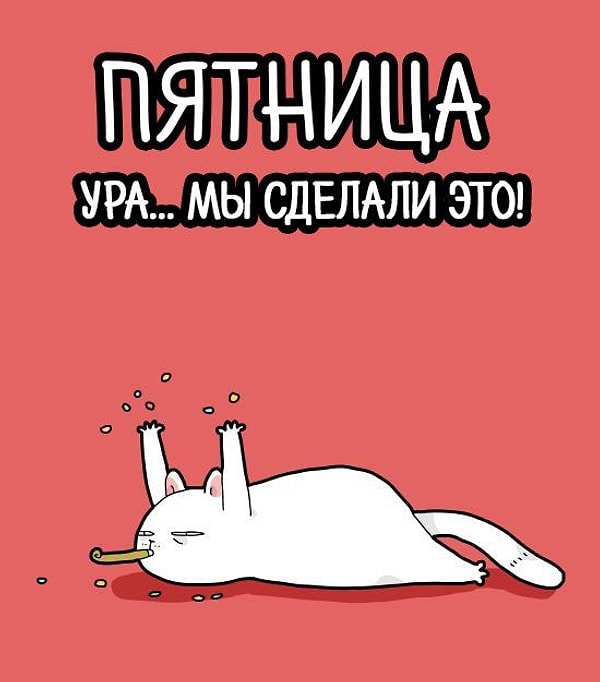 11. Как вы относитесь к тому, чтобы провести пятничный вечер в одиночестве?