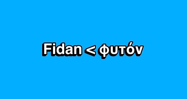 7. Fidan