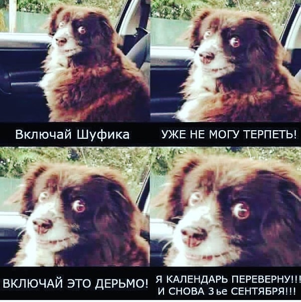 А все благодаря Михаилу Шуфутинскому.