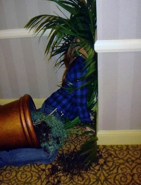 28. Всем пока!