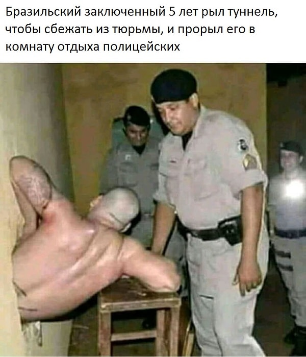 7. Даже жаль бедолагу