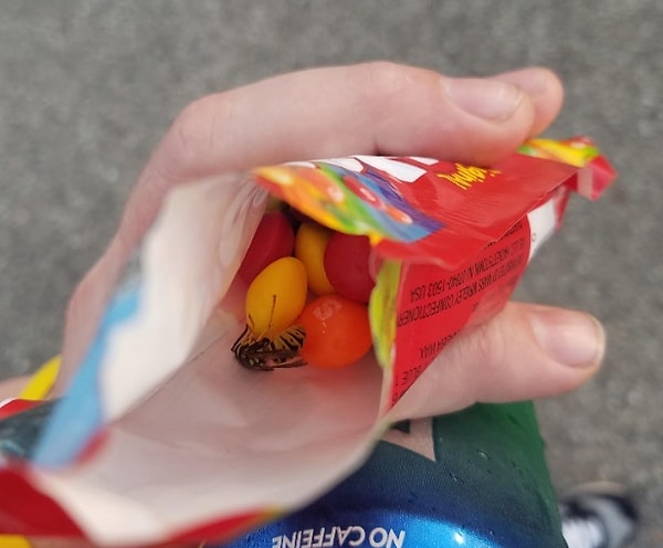 11. Хорошо еще, что не сунул туда руку