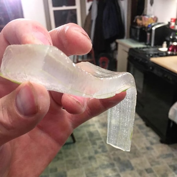 5. Вот как выглядит алоэ внутри