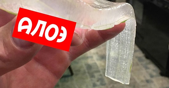 Так вот как оно выглядит внутри: продукты и растения, с которых безжалостно сняли кожицу