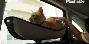 Kedi Dostlarımızın Araç Seyahatlerinde Rahat Etmesi İçin Düşünülmüş Muhteşem Hamak