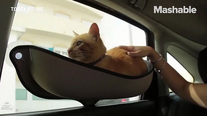 Kedi Dostlarımızın Araç Seyahatlerinde Rahat Etmesi İçin Düşünülmüş Muhteşem Hamak