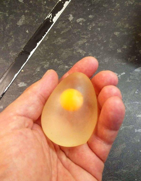6. Bu bir yumurta!