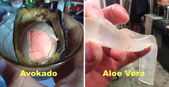 Soyulunca Tüm Egzotikliğini Kaybedip İnsanı Hafif Afallatan 16 Şey