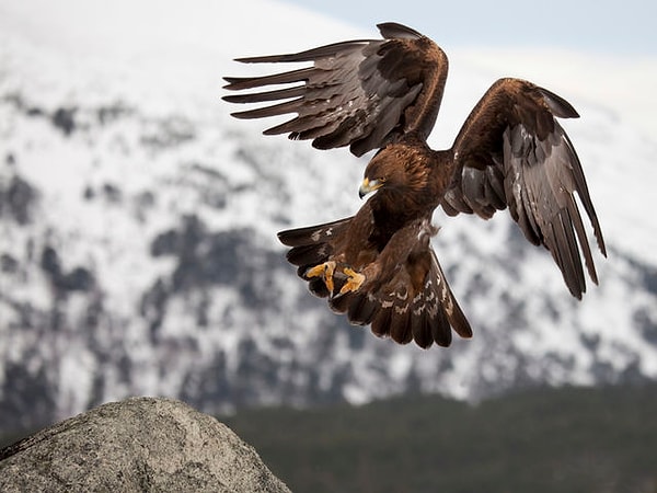 2. Вы инициативный человек, готовый бороться за то, что ему нужно?