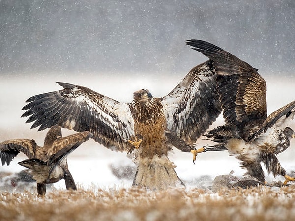 6. Когда вы в последний раз кого-то били?