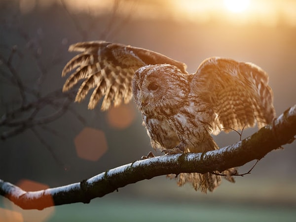 7. Какое из этих мест идеально для жизни для вас?