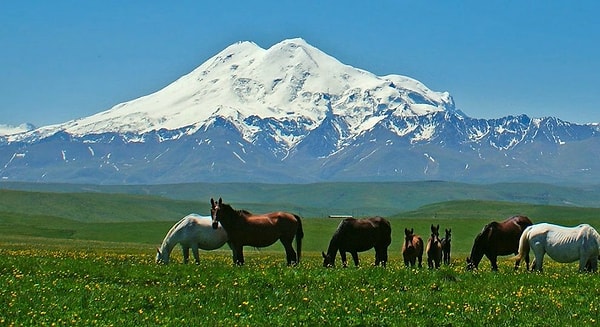2. Административный центр Республики Калмыкия - это...