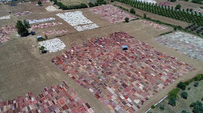 Milyonlarca Liralık Halıları Tarlaya Serdiler! İşte Antalya'nın Halı Tarlaları