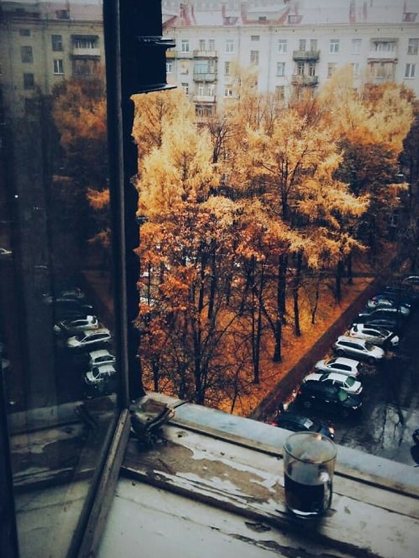 10. "Пахнет осенью. А я люблю российскую осень. Что-то необыкновенно грустное, приветливое и красивое. Взял бы и улетел куда-нибудь вместе с журавлями"