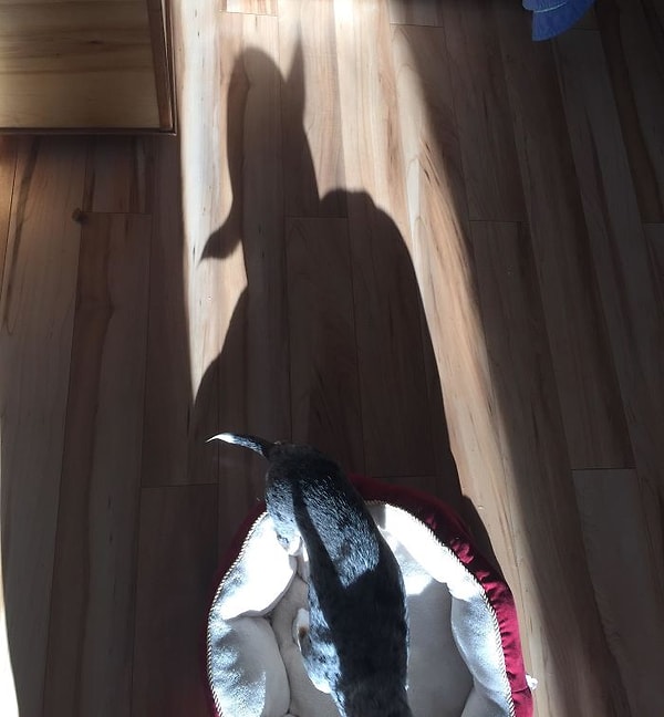 4. Йода, это ты?