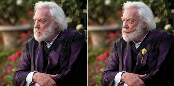 2. Дональд Сазерленд - Президент Кориолан Сноу