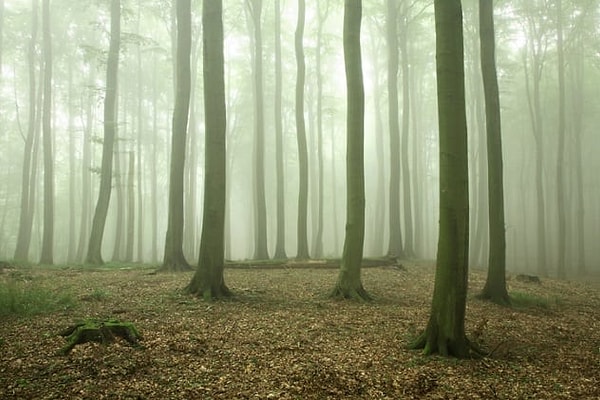 3. Неизвестный немец